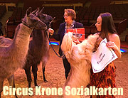 Circus Krone 2017: kuschlinge Lamas und Windhunde übergaben 12.000 Freikarten an die 3.Bürgermeisterin Christine Strobl  (©Foto: Martin Schmitz)